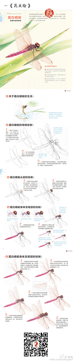 taotaofish采集到小教程