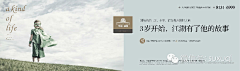 bYssnT3W采集到围挡