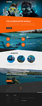 Diving Responsive Website Template : The theme is visually pleasing and has all the features needed for building websites for corporates