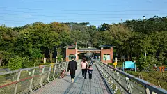 深圳大沙河生态走廊即将成为2019年南山区的又一张旅游名片_示范 : 从深圳湾体育馆前的大沙河入海口 有兴趣的市民也可来这里亲身体验赛艇运动 初次开放的大沙河生态走廊在规划上也是十分人性化 大沙河生态走廊的示范段开放后 大家就可以在…