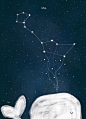 "Arctic Constellations" - Cetus