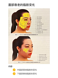 博那罗蒂采集到头/五官结构