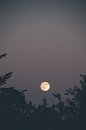 Out of the mist - Tumblr Photos (51)