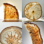 mengchao._Chinese_medicine_musk_slice_backlight_white_backgroun_7ee77fc1-d6fa-4cd2-8ae9-743598a90b3d.png (2048×2048)