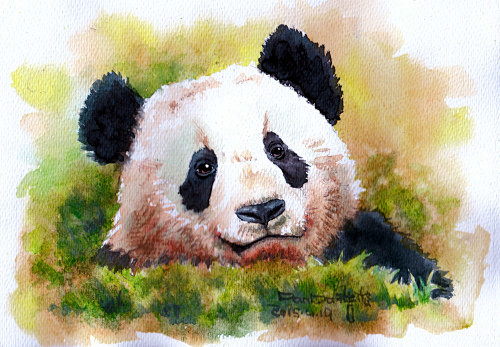 水彩,panda,绘画,熊猫,晚安,猫,...