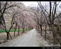 新疆喀什自助游：塔莎古道