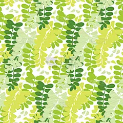 春天,花朵,金合欢树,四方连续纹样,华丽的,平视角,摆拍,壁纸,丰富