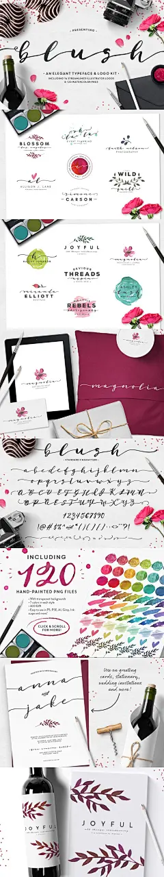 英文草书字体&amp;手绘水彩纹理/Logo模板 Blush Typeface + Logo Kit (AI)