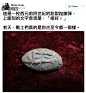 无聊图 - 蛋友贴图专版