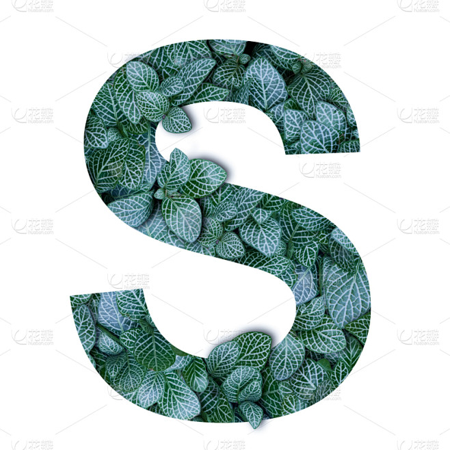 英文字母s,字母,形状,叶子,自然,绿色,分离着色,概念,字母表次序,无人
