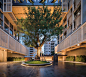 泰国曼谷 Sindhorn 超高层豪华公寓楼（Sindhorn Residence）-  Plan Architect_建筑设计案例_树状模式