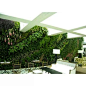 定制高档仿真立体绿化墙植物墙橱窗绿植墙立体绿墙 家庭室内绿化-淘宝网