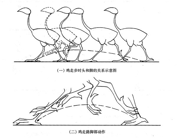 动画运动规律的搜索结果_百度图片搜索