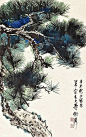 谢稚柳 PINE ink and作品欣赏