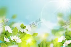 矢量花卉背景  【酷图网】矢量花卉背景,鲜花背景,唯美鲜花背景,植物,花背景,花壁纸,花朵背景,花卉壁纸,美丽,