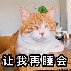著名网黄猫日 跟老婆聊天必备的委屈表情包 看我这么委屈的份上 可以赞赞我嘛 ​​​​