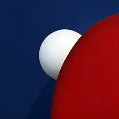 篮球高清壁纸的搜索结果_360图片