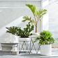 Iris Planter + Chevron Stand | west elm: 