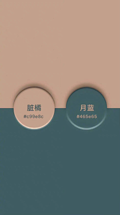 颜色-花瓣网|陪你做生活的设计师 | 高级感双色搭配