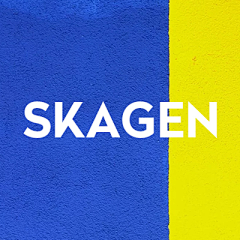 少女院长M采集到SKAGEN