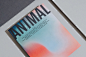 Revista Animal 24 — 27 : Editorial design for mexican art, design and lifestyle magazine.