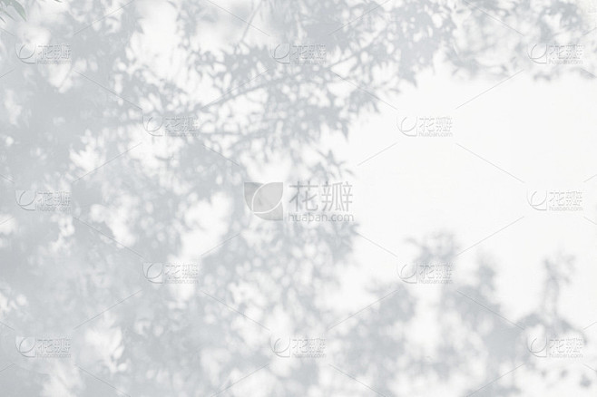 墙上的树影素材-花瓣网