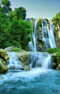 (89) Pinterest