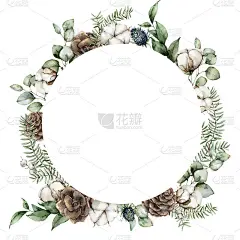 水彩圣诞圈框架与松果，桉树叶，冷杉树枝和棉花花。手绘假日插图孤立在白色背景。为设计，打印或背景。