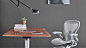 Close up of a home office with a lamp, plant, books, and reading glasses rested on Renew table surface and new Aeron Chair in Mineral finish pulled away from the table