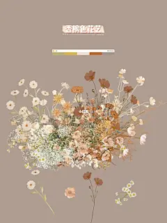 今日份香槟白色奶茶色婚礼手绘花艺打卡～