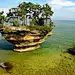 搜罗全美岩石景观 美国奇形怪石
8.密歇根州奇景：Turnip Rock
　　这个毫无魅力可言的名字就是Turnip Rock的一大亮点，尤其是当晴空照耀、万里无云的天空映衬着碧蓝的湖水时，这里的风景更是令人陶醉。海浪侵蚀造就了当地嶙峋的怪石，夏天，人们常常到怪石周围的湖水中尽情享受一丝清凉。
　　Turnip Rock坐落在密歇根州的东部，有着140英里长的海岸线和一个个海景小镇，供人们从事各种户外活动。如骑车、散步、划皮艇。
　　Turnip Rock只是在禁止进入的公海领域稍微远一点的地方，因此划皮