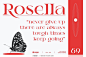 Eola现代经典优雅时尚品牌logo广告海报杂志封面标题衬线英文字体

