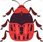 红色,昆虫,顶部,风景,可爱的,自然,季节,概念,野生动物,甲虫