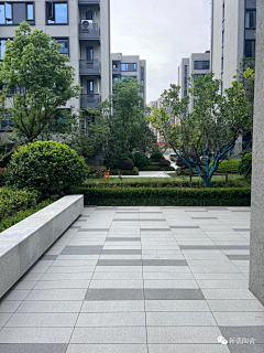 风林景观采集到铺装