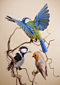 Using More Than 4,000 Pieces of Paper, Artist Lisa Lloyd Painstakingly Constructs Birds and Butterflies : Employing tweezers to place each bit of paper, London-based artist Lisa Lloyd (previously) meticulously assembles birds and butterflies. Her realisti