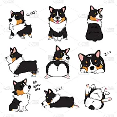 威尔士柯基犬,矢量,绘画插图,彭布罗克郡,威尔士,可爱的,纯种犬,图像,狗,可爱