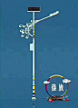 民族特色单臂路灯