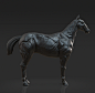Horse Anatomy study, Saphir Vendroux : Horse Anatomy practice sculpt from last night
