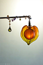 簪作家榮 2012鬼灯簪「小狐燈」 Japanese hair accessory - Chinese lantern plant Kanzashi- by Sakae, Japan　 sakaefly.exblog.jp/: 