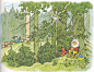 Teddybuch / Wandertag im Wichtelwald / Bild 7 : Mein grosses farbiges Teddybuch Ein Bilderbuch von Fritz Baumgarten Illustrationen: Fritz Baumgarten > Wandertag im Wichtelwald Unipart-Verlag (Stuttgart / Deutschland; 1989) ex libris MTP