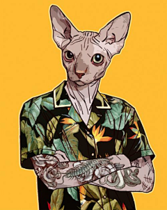 美好收藏相册采集到H 绘画灵感/素材