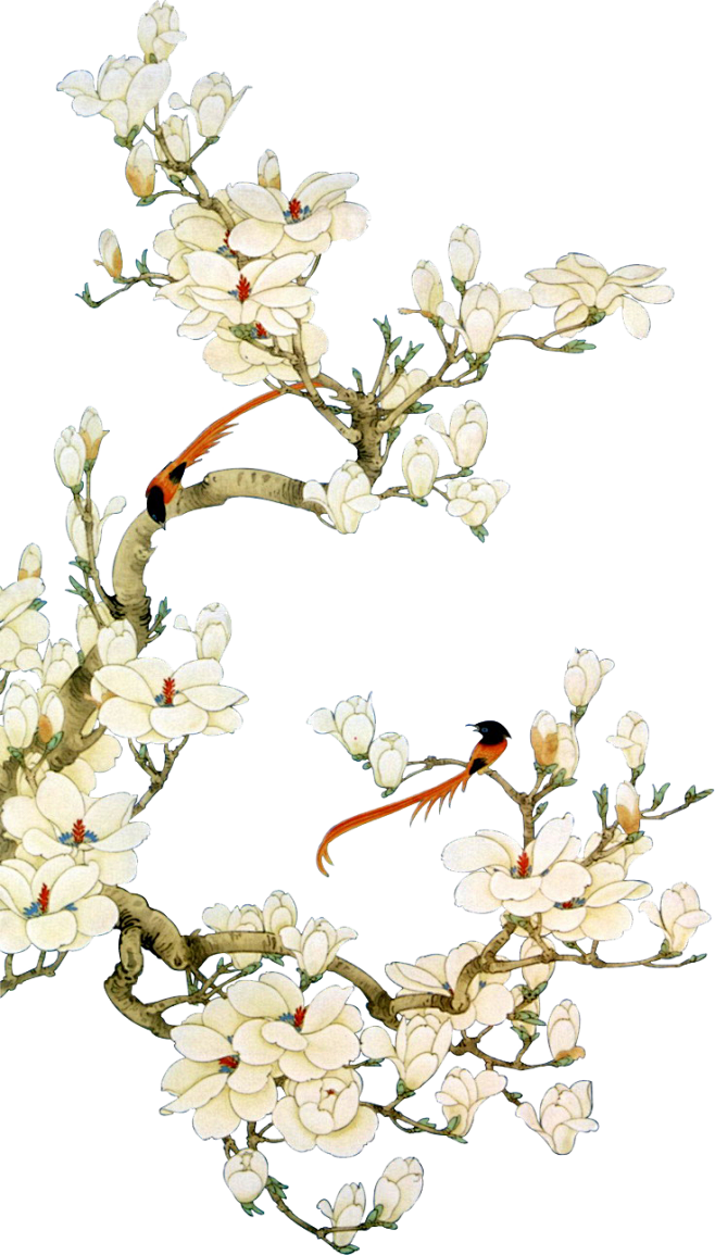 花鸟图1