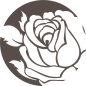 国外欧式复古边框花纹纹理图标LOGO装饰免抠PNG图案 (667)