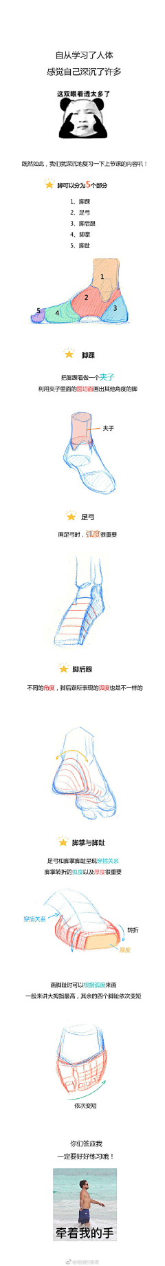 瓦西哒哒哒采集到手绘-脚