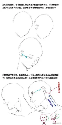 绘画参考 画脸只会画一个角度？画师ヒッヒが欲しい葉月 （twi：guze119911119）总结的不同角度面部的画法技巧！充分证明了耳朵的重要性！ ​​​​