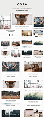 10款多功能Muse网站模板 ODRA – Multi-Purpose Muse Template  