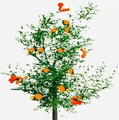 黄色小花植物景观装饰高清素材 免费下载 页面网页 平面电商 创意素材 png素材