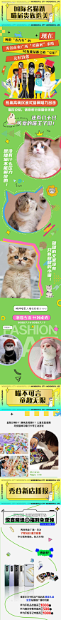 宠物猫展长图-源文件【享设计】