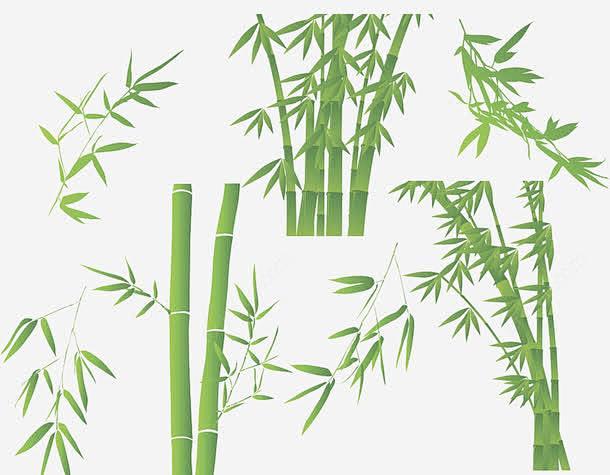 竹叶素描竹叶图标 UI图标 设计图片 免费下载 页面网页 平面电商 创意素材