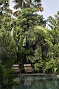 Bawa House / Stilt Studios - Exterior Photography, Garden